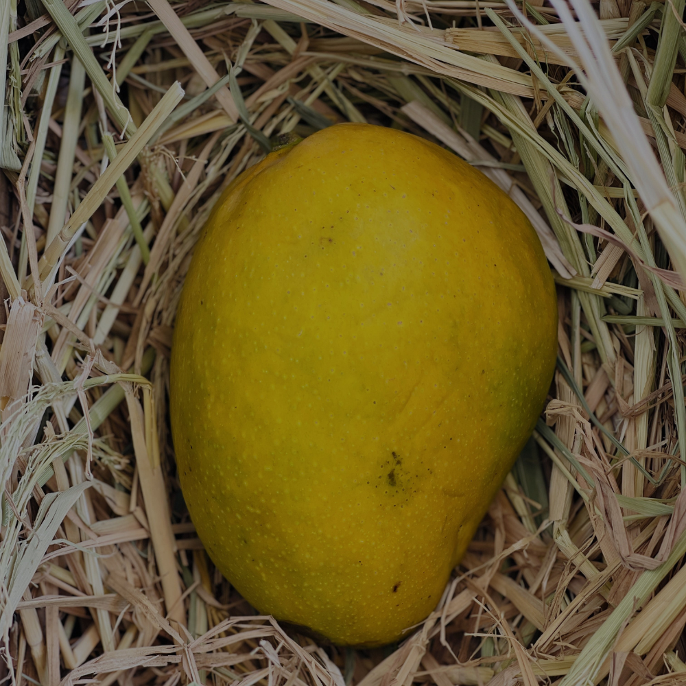 Imampasand Mango (1KG)