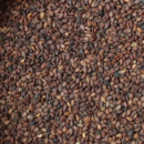 Sesame / Ellu