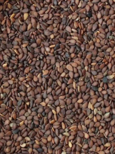 Sesame / Ellu
