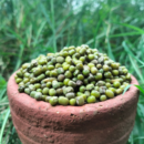 Green Gram / Pacha Payar