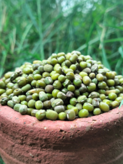 Green Gram / Pacha Payar