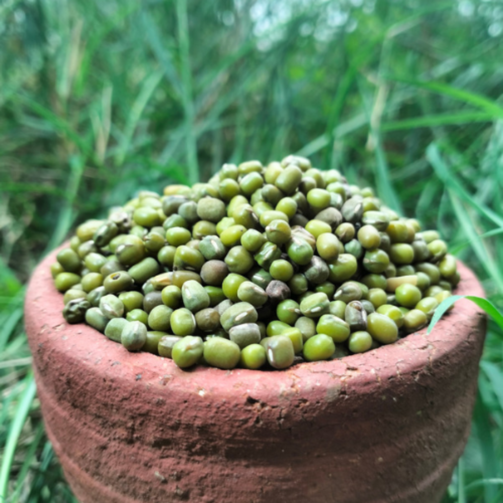 Green Gram / Pacha Payar