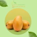 Mallika Mango (1KG)