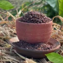 Black Gram / Urad Dhal