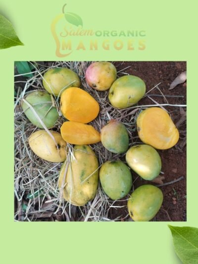 Combo Pack Mango