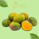 Kalapadi Mango (1KG)