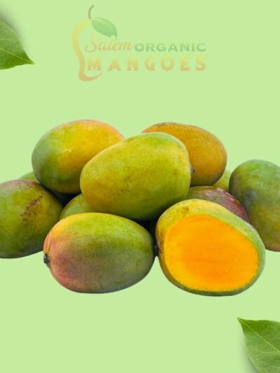 Kalapadi Mango (1KG)
