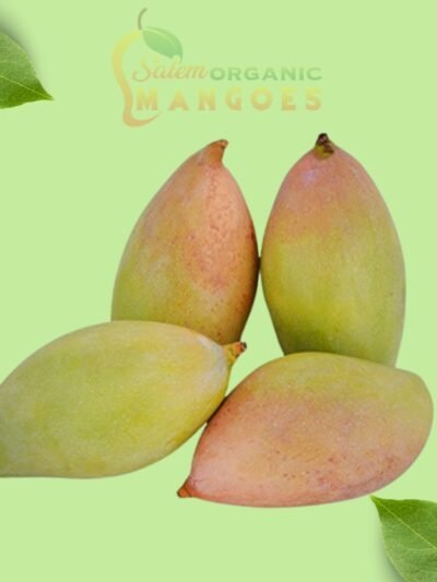 Killimukku / Totapuri Mango (1KG)