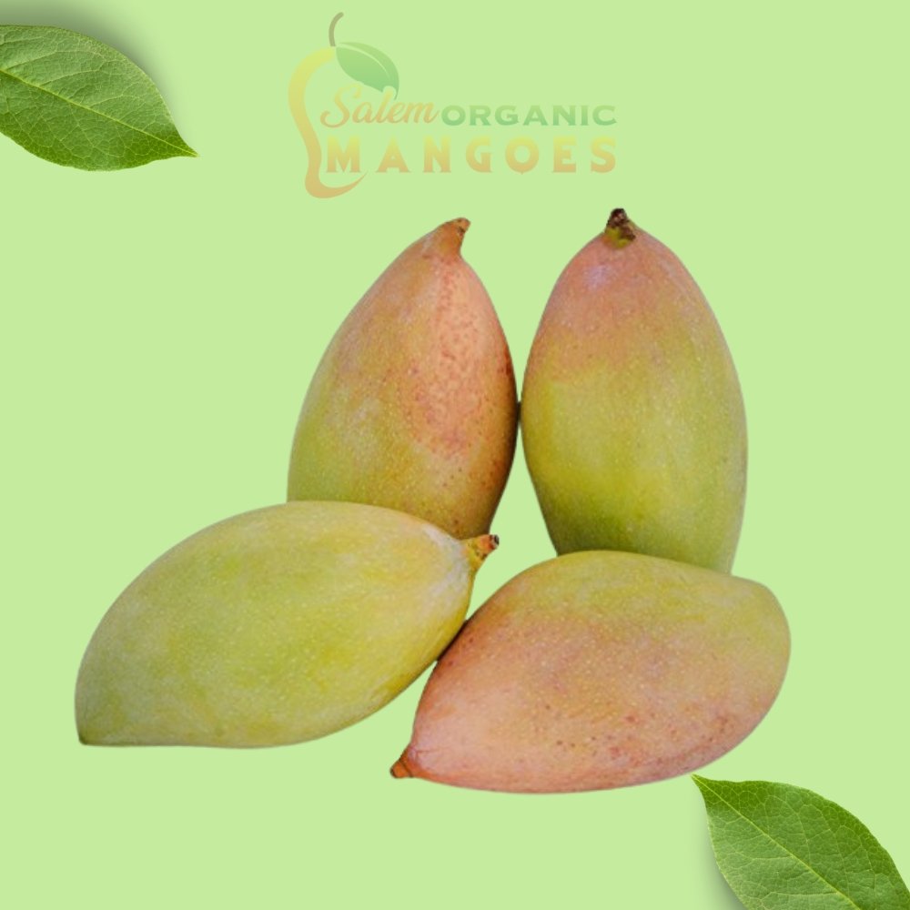 Killimukku / Totapuri Mango (1KG)
