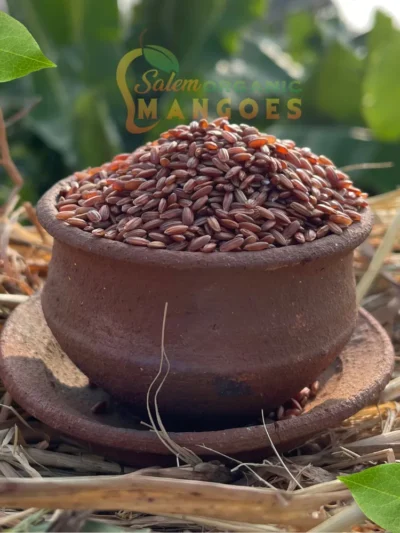 Mappillai Samba Rice