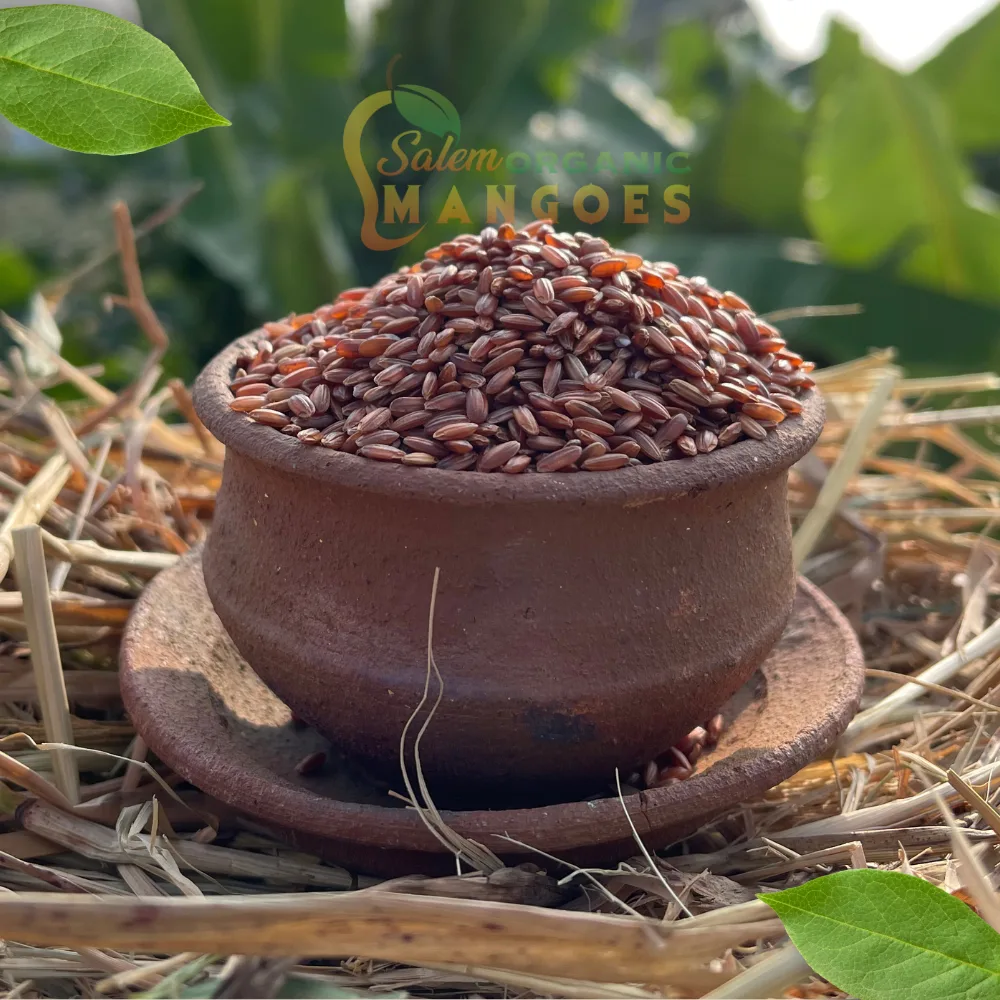 Mappillai Samba Rice