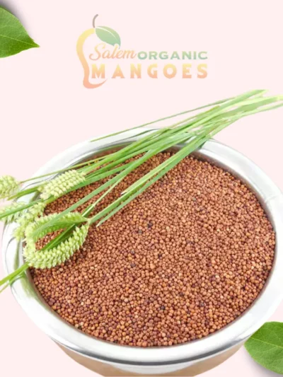 Finger Millet, Ragi Nachni and Ragi Atta
