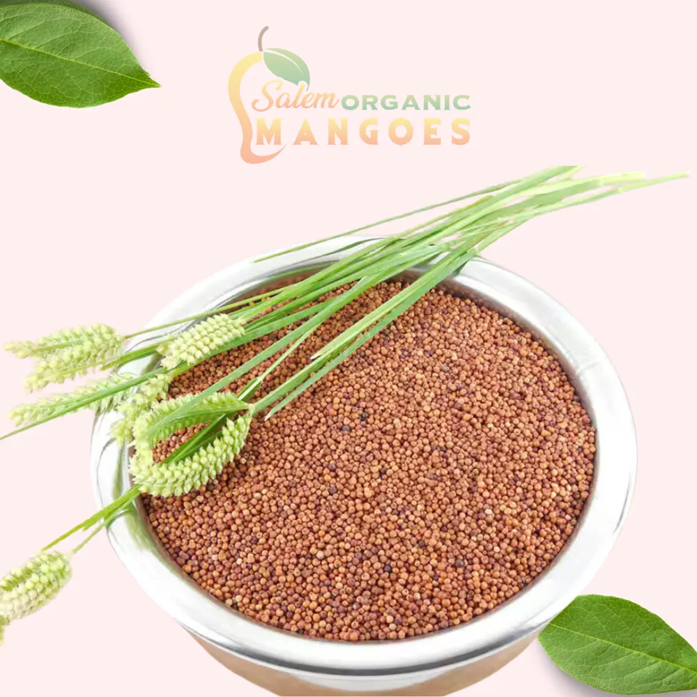 Finger Millet, Ragi Nachni and Ragi Atta
