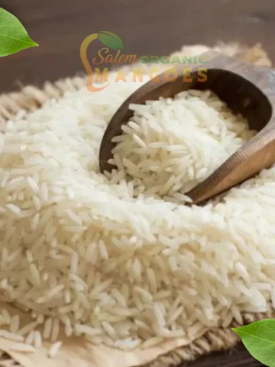 Salem Sanna Rice