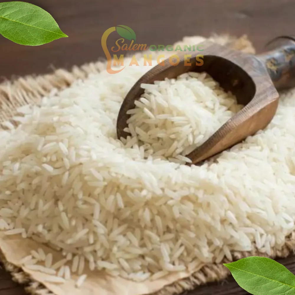 Salem Sanna Rice