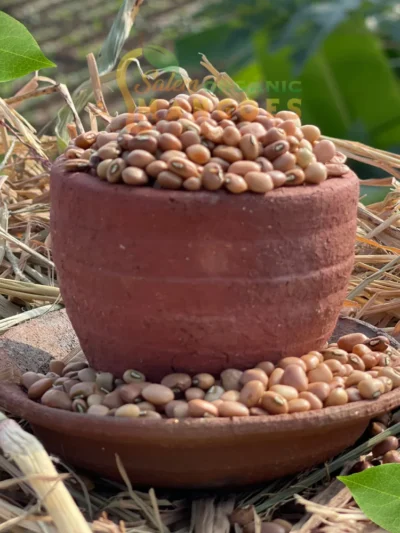 Red Cow Eyed Peas / Thatta Payar